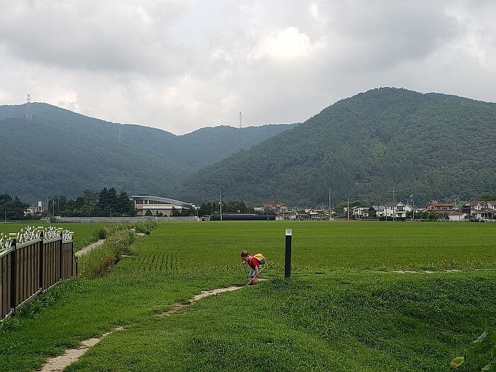 Noah walking along a path with two stems next to a rice field and mountains