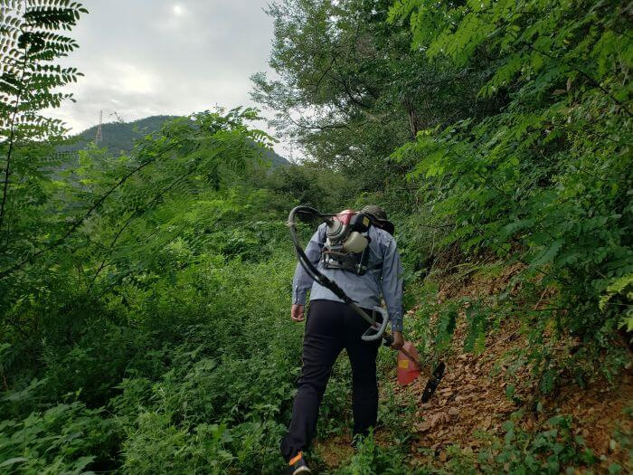 A person with a weed whacker walking up a mountainside for beolcho