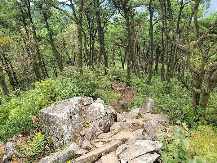 A pile of large rocks and path leading downhill through the forest