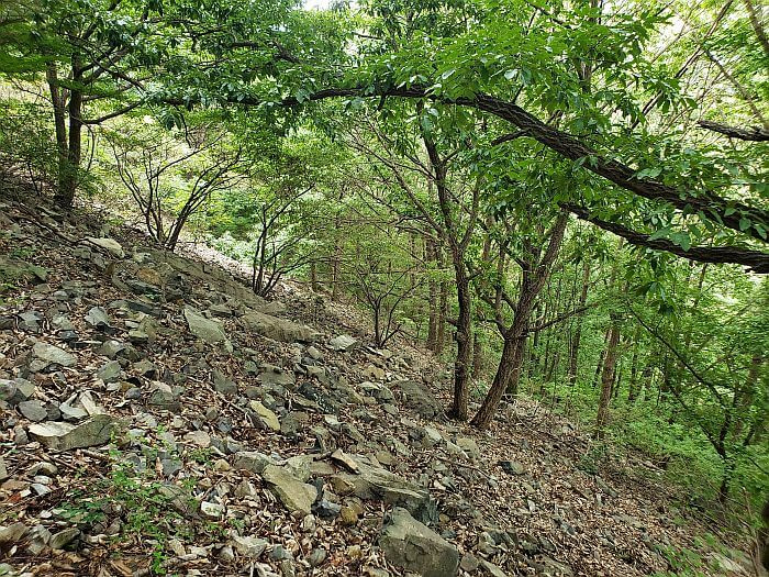 A rocky trail up the mountain
