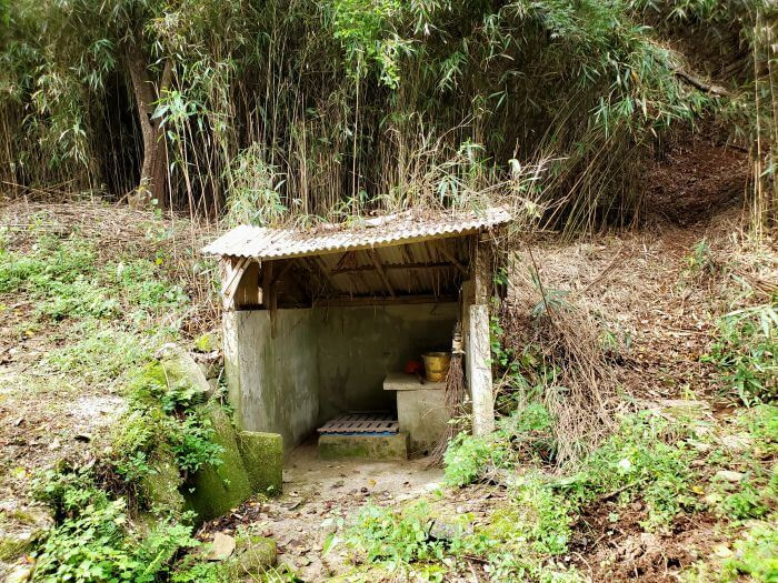 A small hut or structure near bamboo