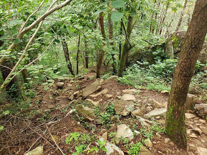 A trail downhill with scattered rocks