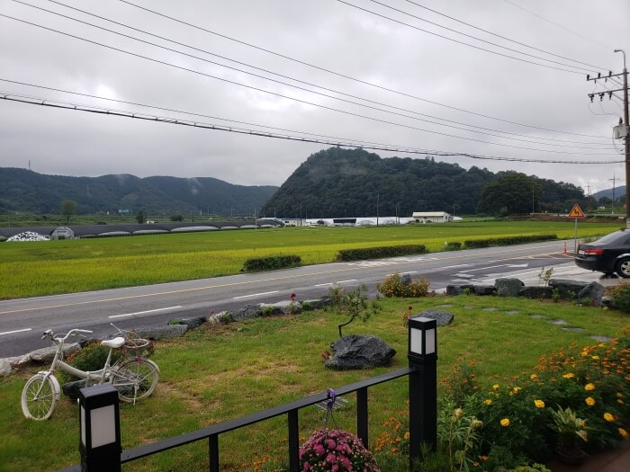 A country road through rice fields across from the yard of a café