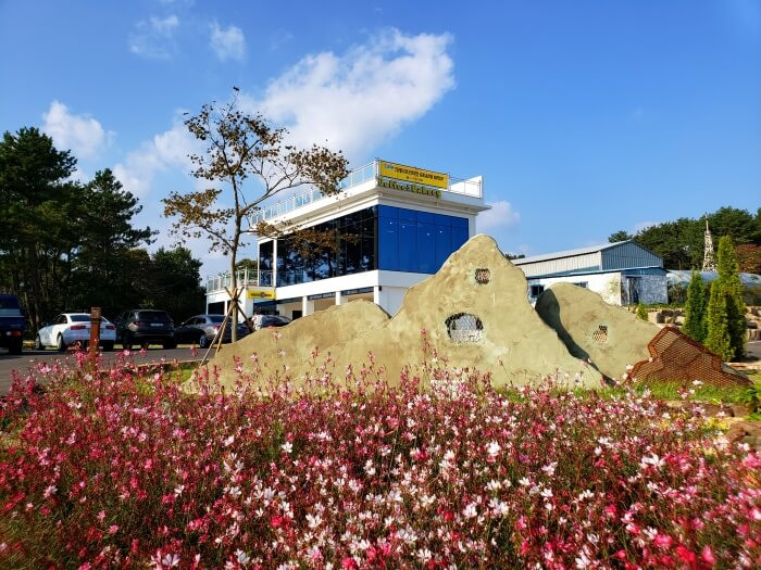 The Crepe Lion café building behind a flowering bush