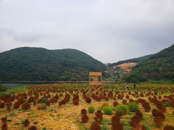 A large, wooden chair among brown and green bushes in front of a reservoir