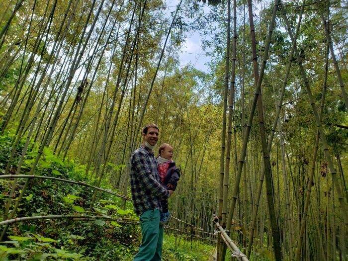 Nate and Noah in a bamboo forest in Goseong
