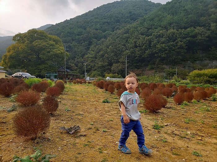 Noah walking on dirt through a field of brown plants