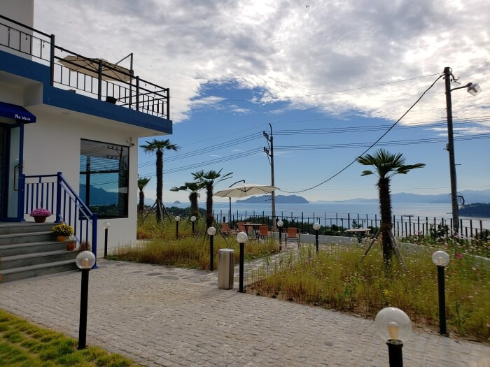 An outdoor patio of a café building with small palm trees and wild flowers