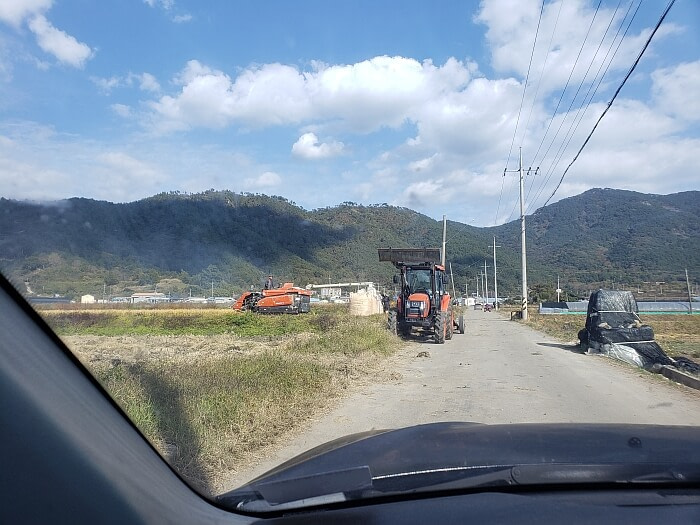 A rice harvesting machine filling 1000 kg bags of rice in a field
