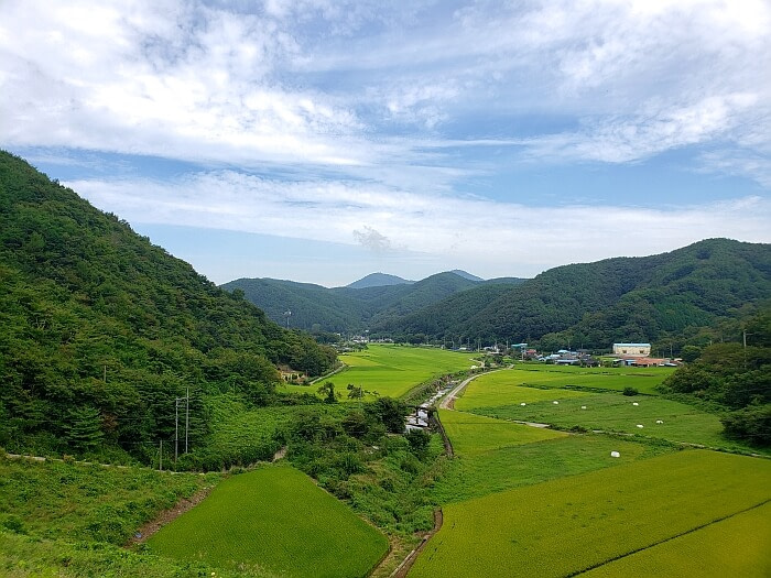Rice paddies in a valley below across from a reservoir