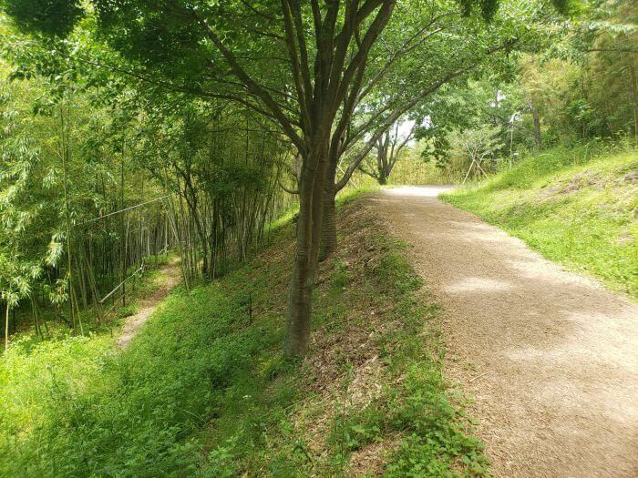 A small bamboo footpath next to a main path in the park