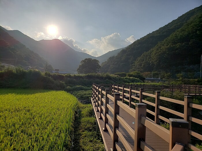 The sun setting over mountains illuminating a rice padding next to a boardwalk