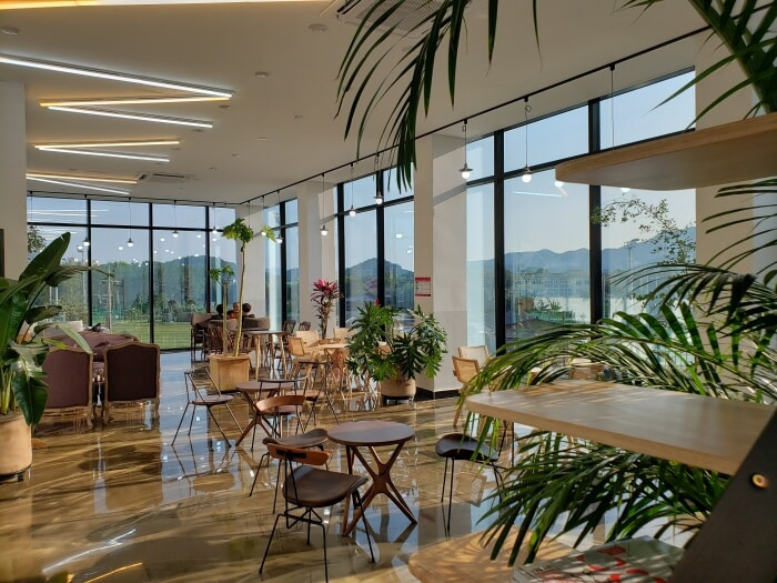 Tables and potted plants in a café with large windows