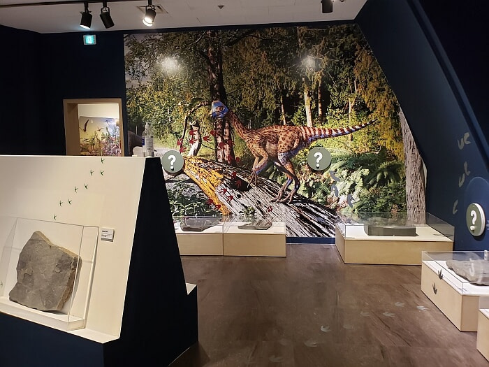 Dinosaur graphics on a wall in a room with dinosaur fossils