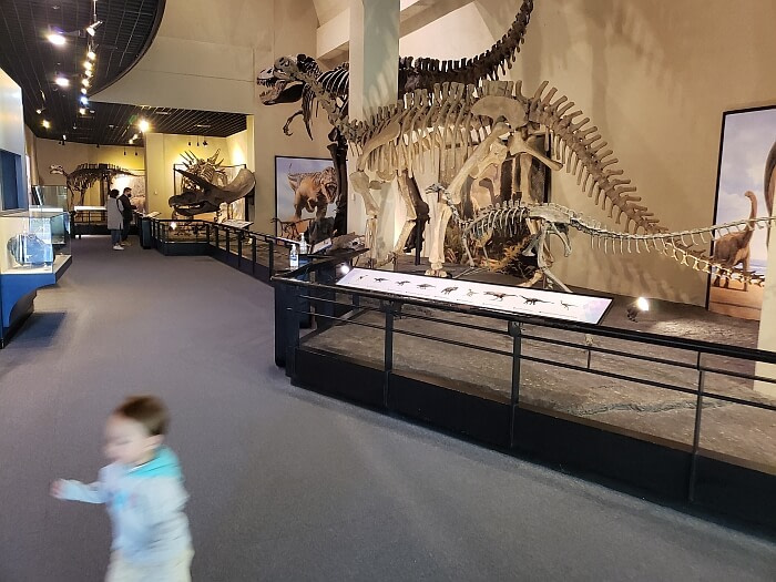 Baby Noah walking through the dinosaur museum