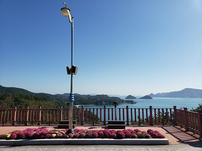 Pink flowers next to an observatory with binoculars along a fence overlooking the sea