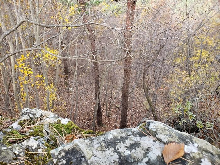 A rock on a cliff's edge with the forest below