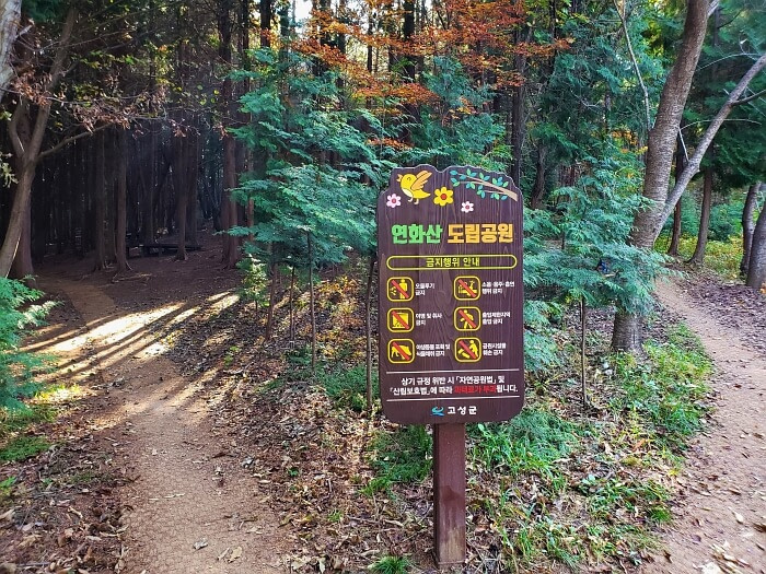 Fork in the dirt path path with a sign in the middle