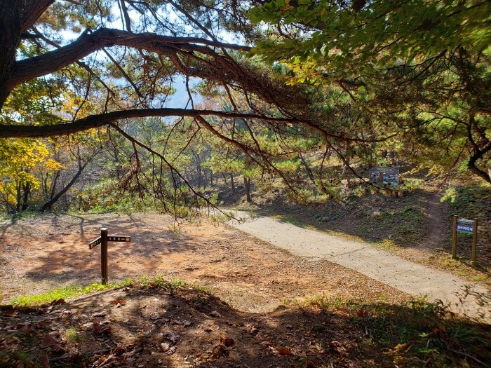 Wolgok Ssalijae parking area and trailheads