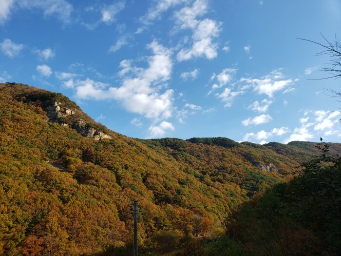 A small mountain ridge covered in autumn trees on a sunny morning