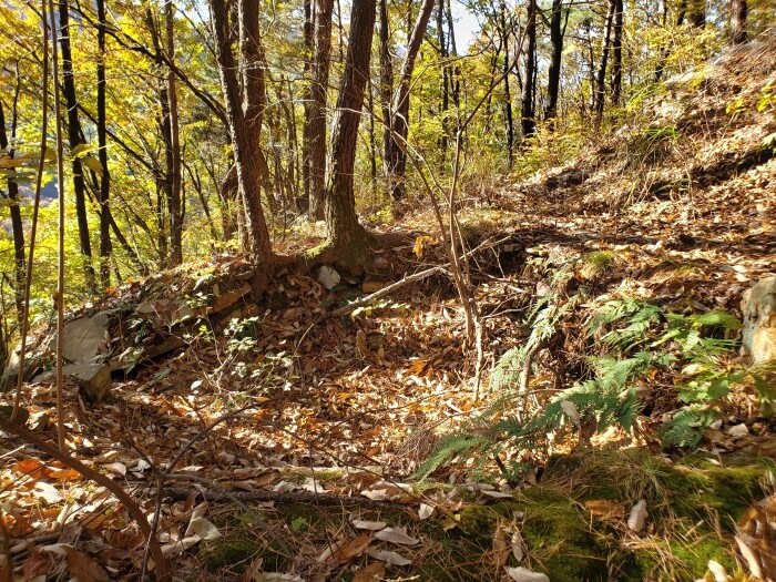 A depression in a forest mountainside