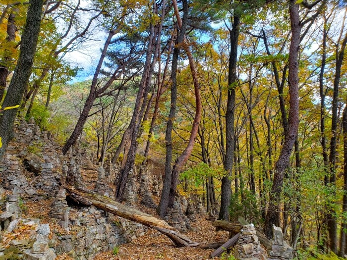 A fallen tree across a path among stone towers in a forest with autumn colors in Yeonhwasan Provincial Park