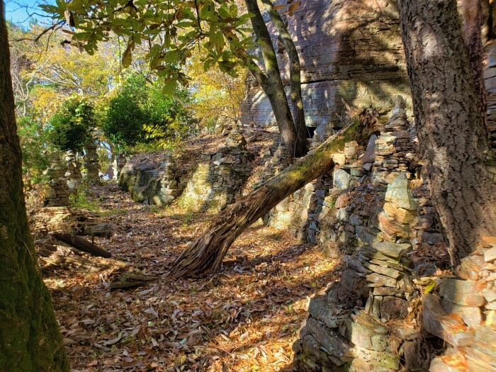 A fallen tree across a path near the entrance of a cave house in a forest