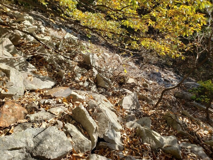 Rocks along the rather steep mountainside
