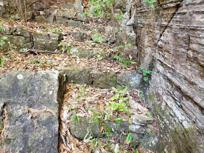 Stone stairs covered in leaves in a valley