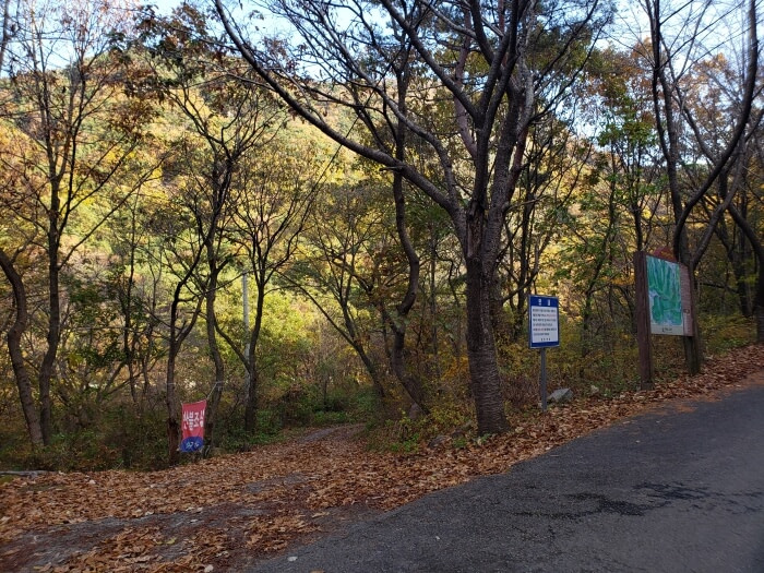 A trailhead and sign along the side of a road in the forest