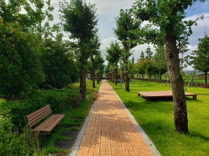 A brick path along the grass with rows of trees and benches