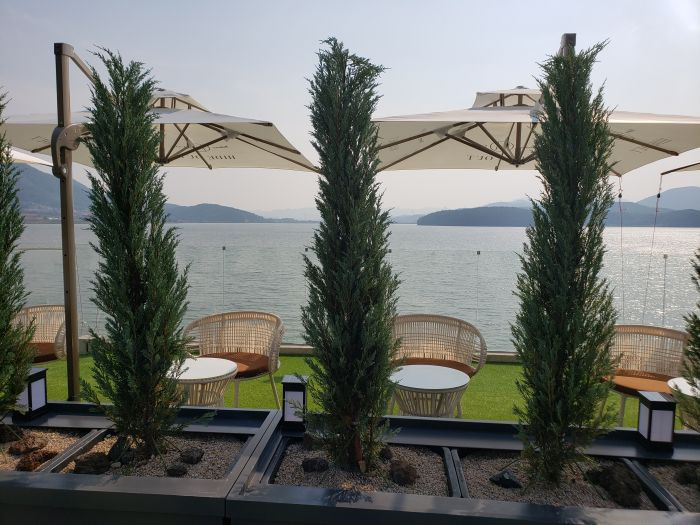 Row of evergreens along seats facing a nice sea view