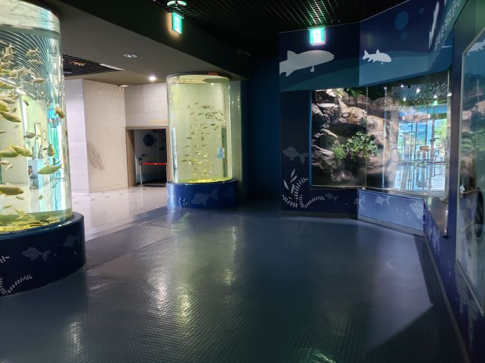 Fish tanks in the shape of cylindrical pillars inside the Goseong Ecology Learning Center