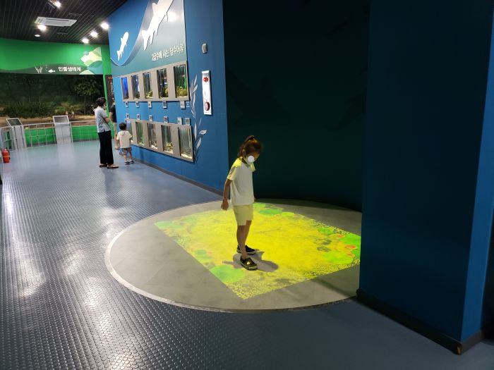A girl playing with a projection of fish on the floor with reactive sensors