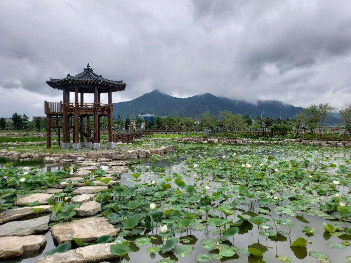 Stepping stones to a pavilion amid a lotus pond