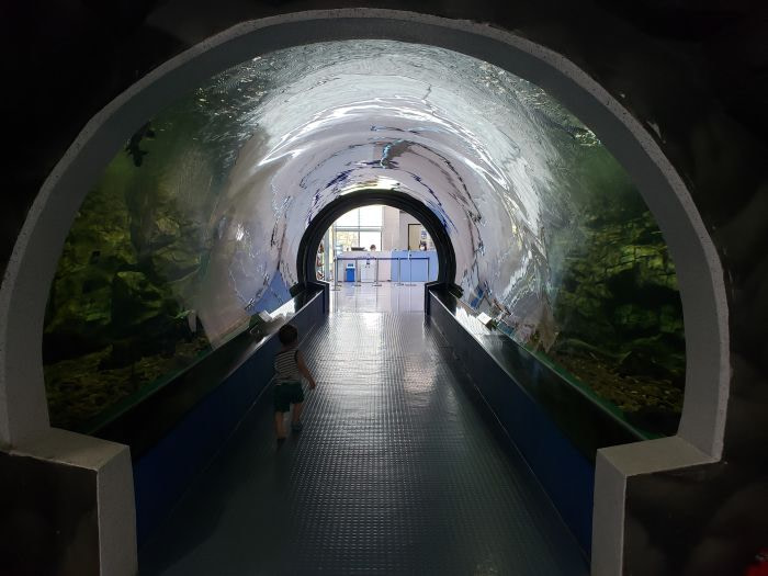 A tunnel of glass fish tank in Goseong, Korea