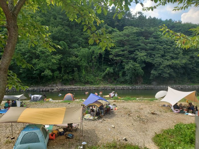 People camping and BBQing on the shore of a river