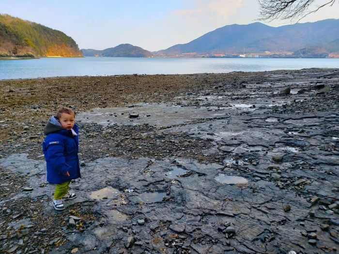 A toddler walking among dinosaur footprints in Korea