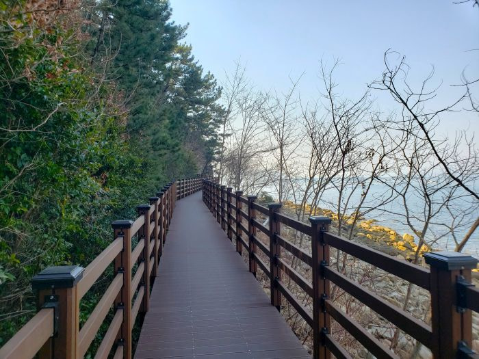 The boardwalk to an observatory along a coastline