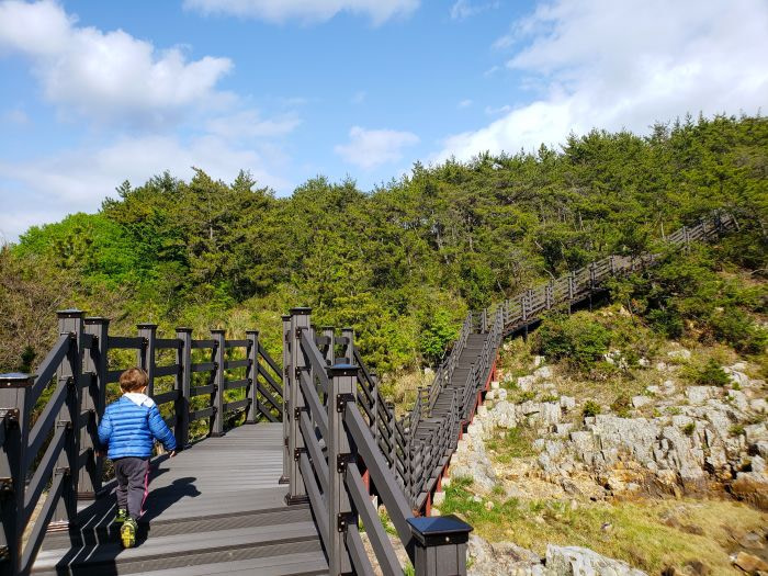 Noah approaching stairs on a boardwalk