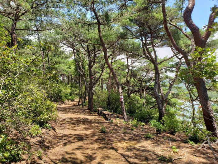 A path through Boli Island on a summer day