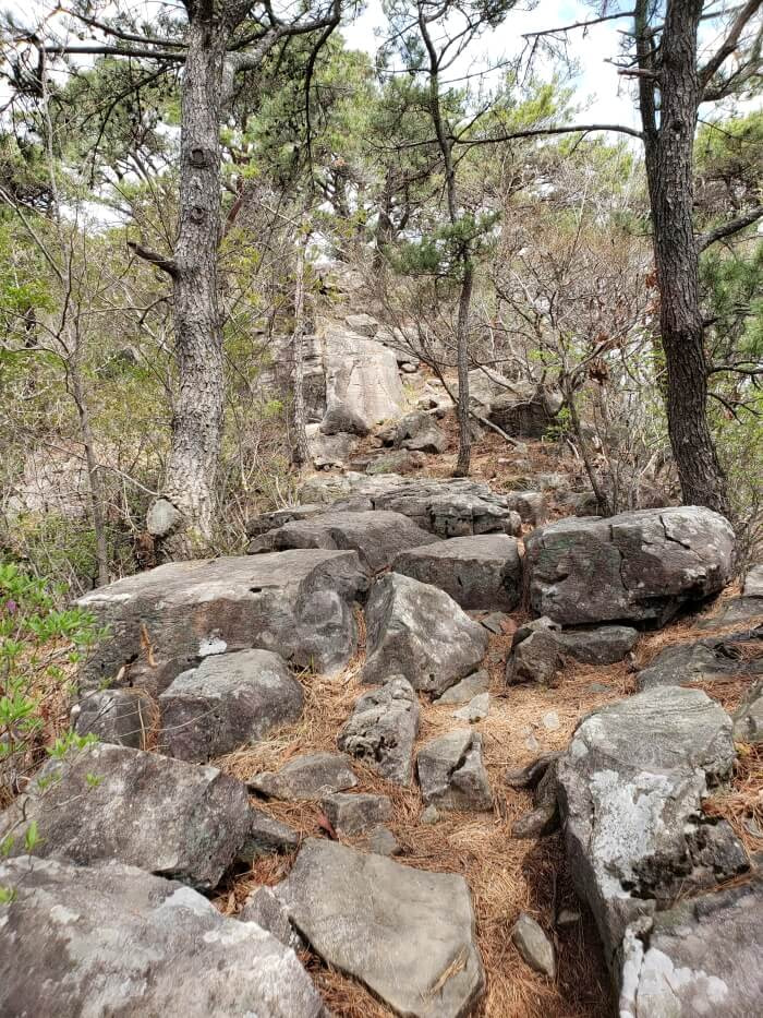 Large rocky terrain up on the ridge with scattered pines across the path