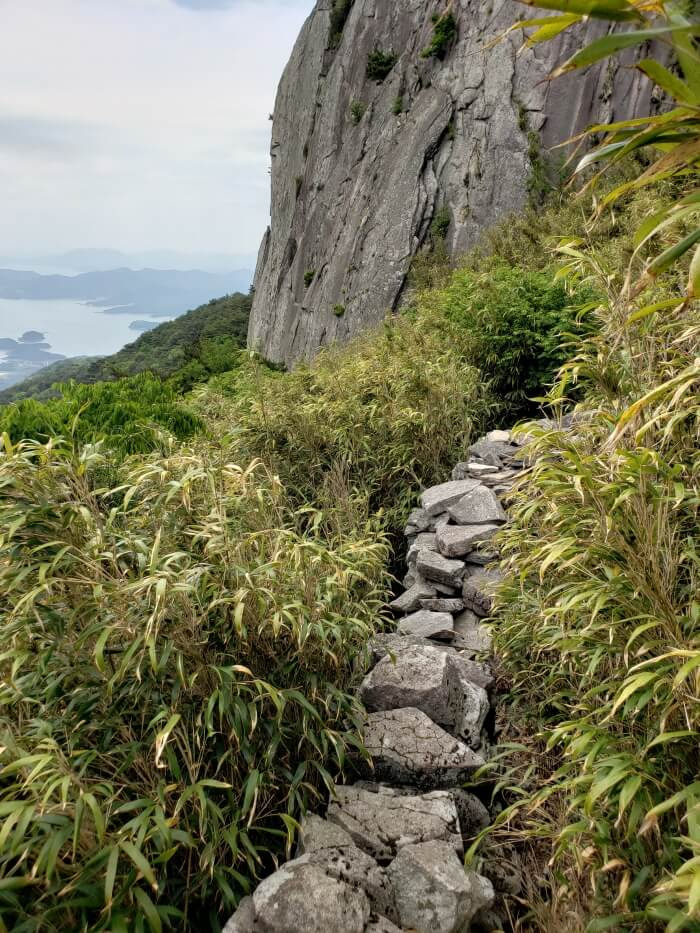 A wall of stacked rocks against a cliff surrounded by bamboo