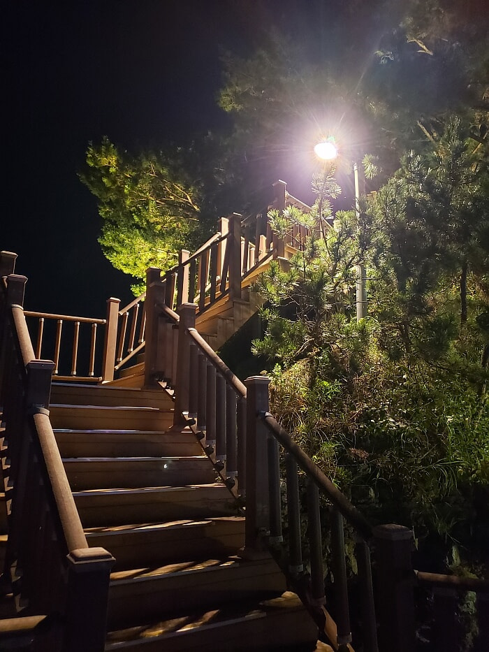 Wooden stairs leading up to a small island at night with a light in the trees