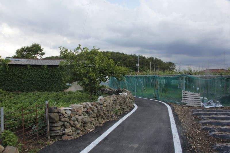 A Korean country road between gardens and a kiwi vine