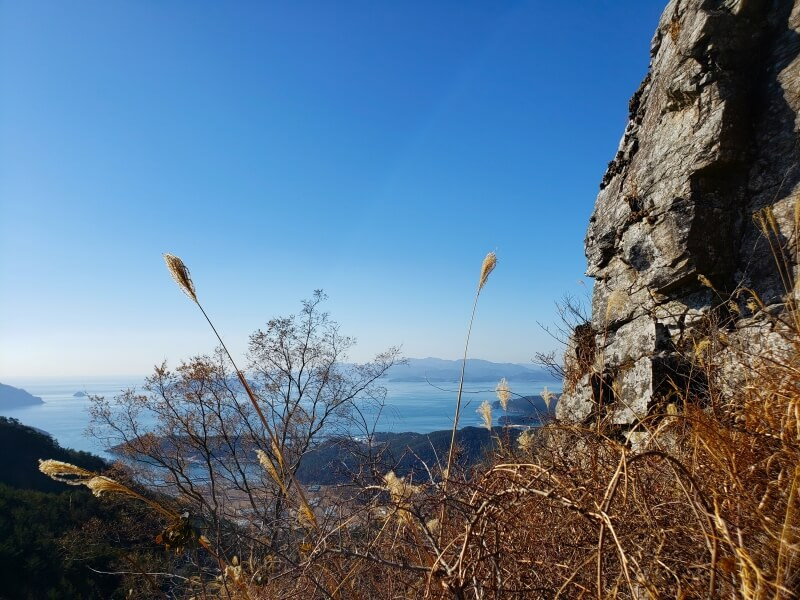 Brown grass growing against a rocky cliff