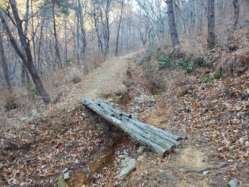 Wooden logs across a gap in the trail