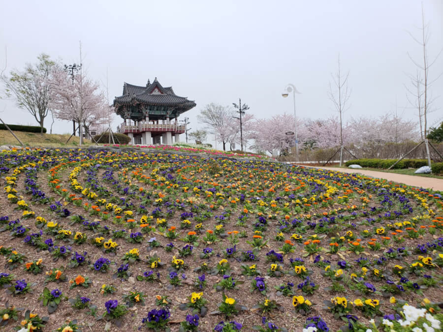 Flowers in a circular pattern near pavilion