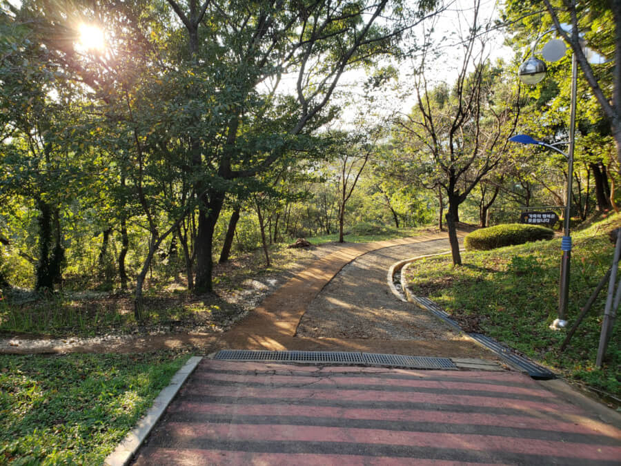 Footpath Junction Namsan Green trees