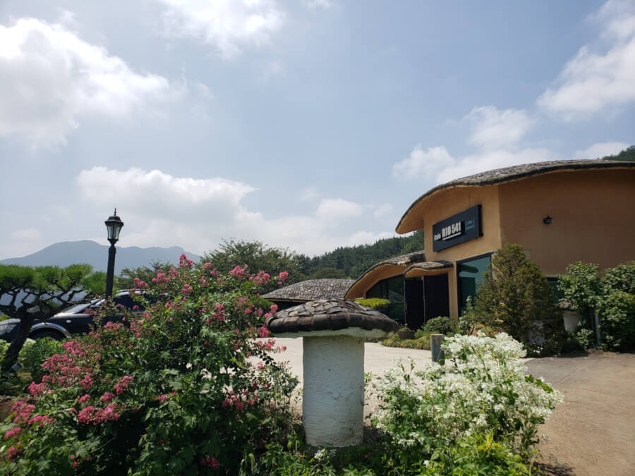 Front of building with flowering bushes